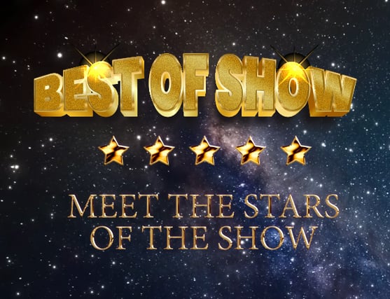 Best of Show 2025